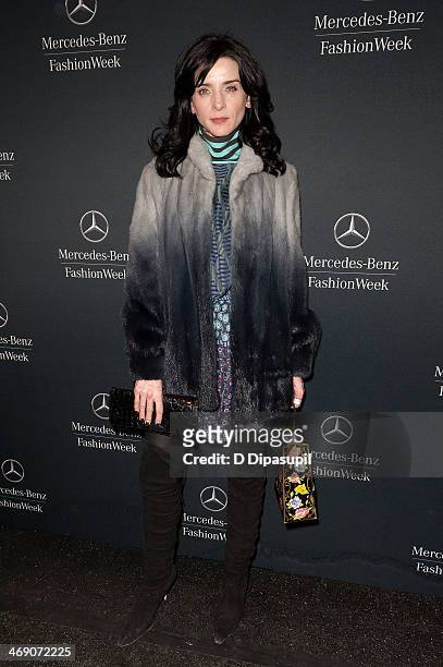 Michele Hicks is seen during Mercedes-Benz Fashion Week Fall 2014 at Lincoln Center for the Performing Arts on February 12, 2014 in New York City.
