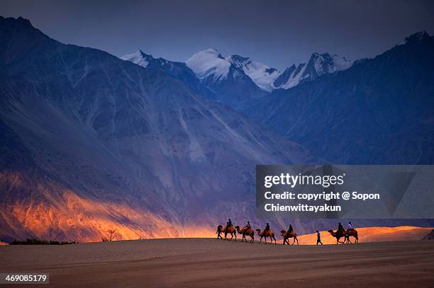 ride of the dream - nubra valley stock pictures, royalty-free photos & images