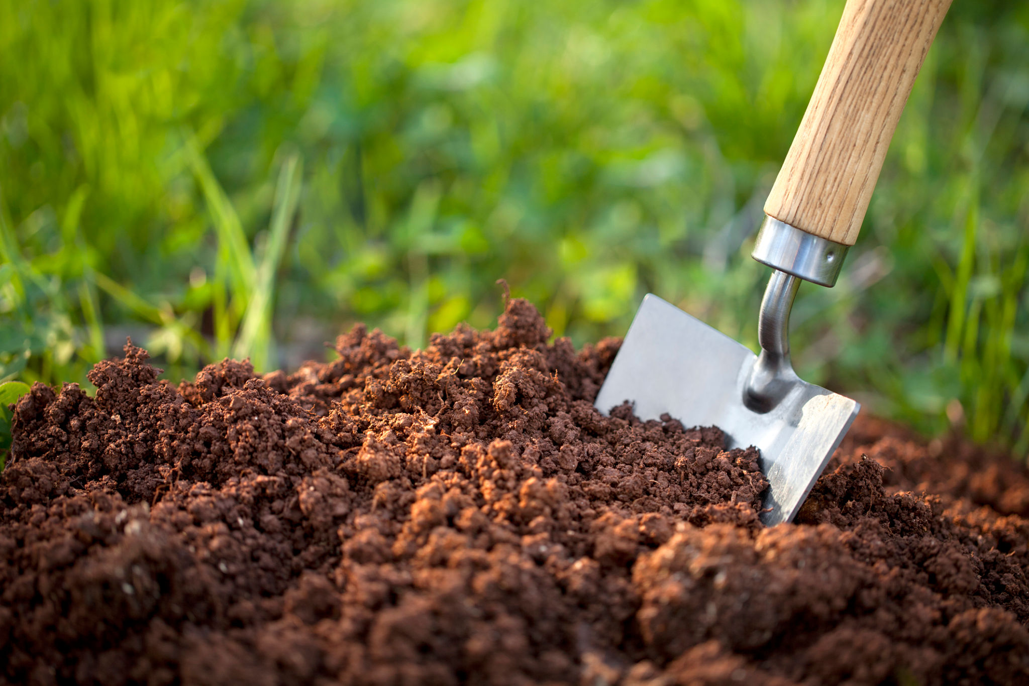 soil preparation