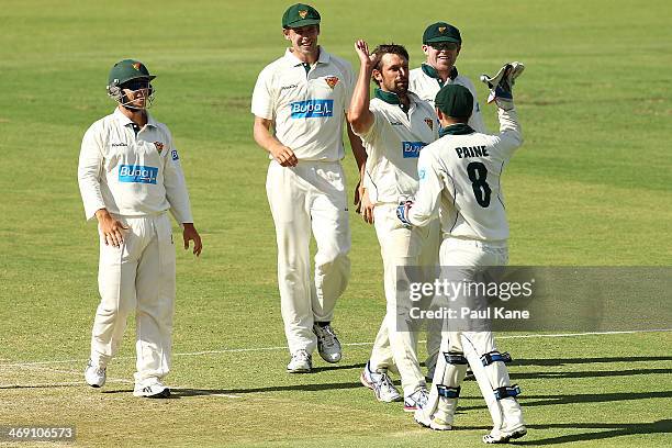 Ben Hilfenhaus of the Tigers celebrates with Tim Paine after dismissing Nathan Coulter-Nile of the Warriors during day two of the Sheffield Shield...