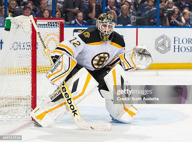 Niklas Svedberg of the Boston Bruins against the Tampa Bay Lightning at the Amalie Arena on March 22, 2015 in Tampa, Florida.