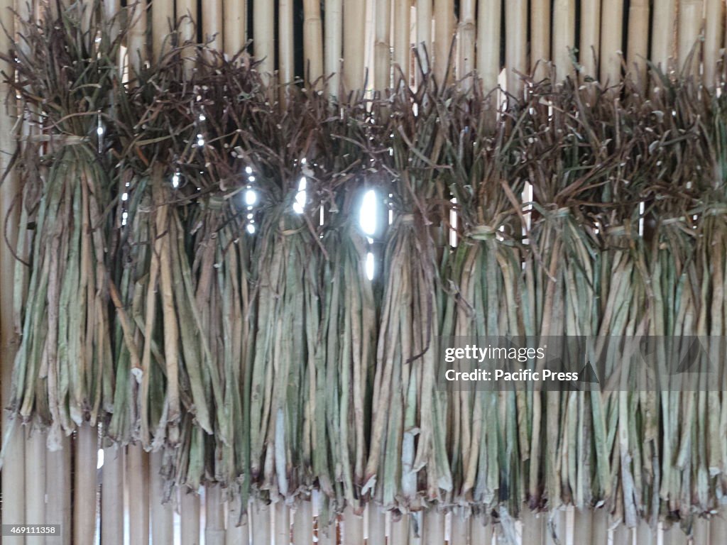 Air drying the stalks of water hyacinths which are...