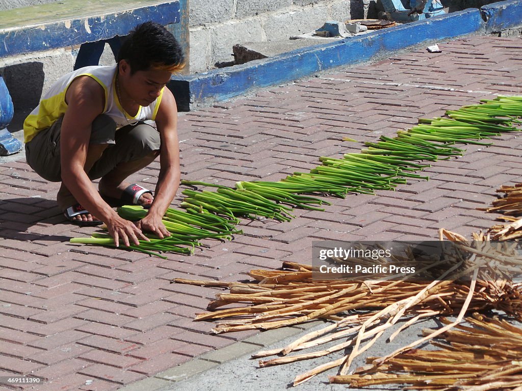 A Man drying water hyacincths which are considered as...