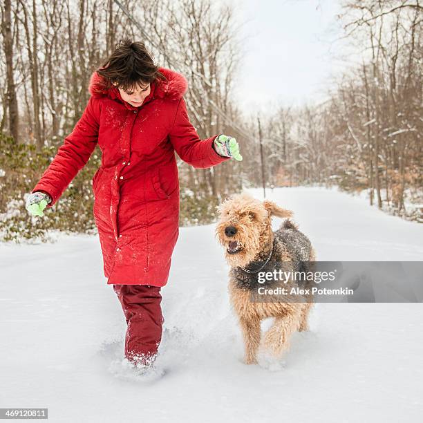 teen menina jogar com cachorro na floresta de inverno - airedale terrier imagens e fotografias de stock