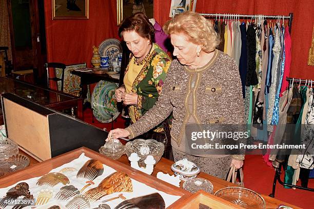 Carmen Franco attends opening of 'Rastrillo Nuevo Futuro' at Los Lebreros Melia Hotel on February 12, 2014 in Seville, Spain.