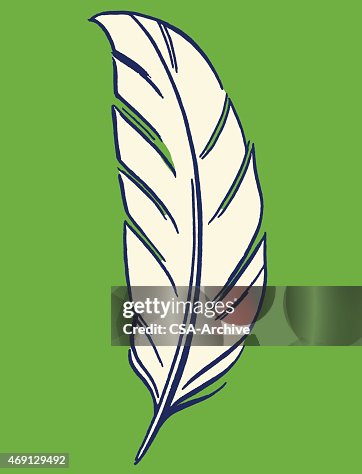 Feather Feather