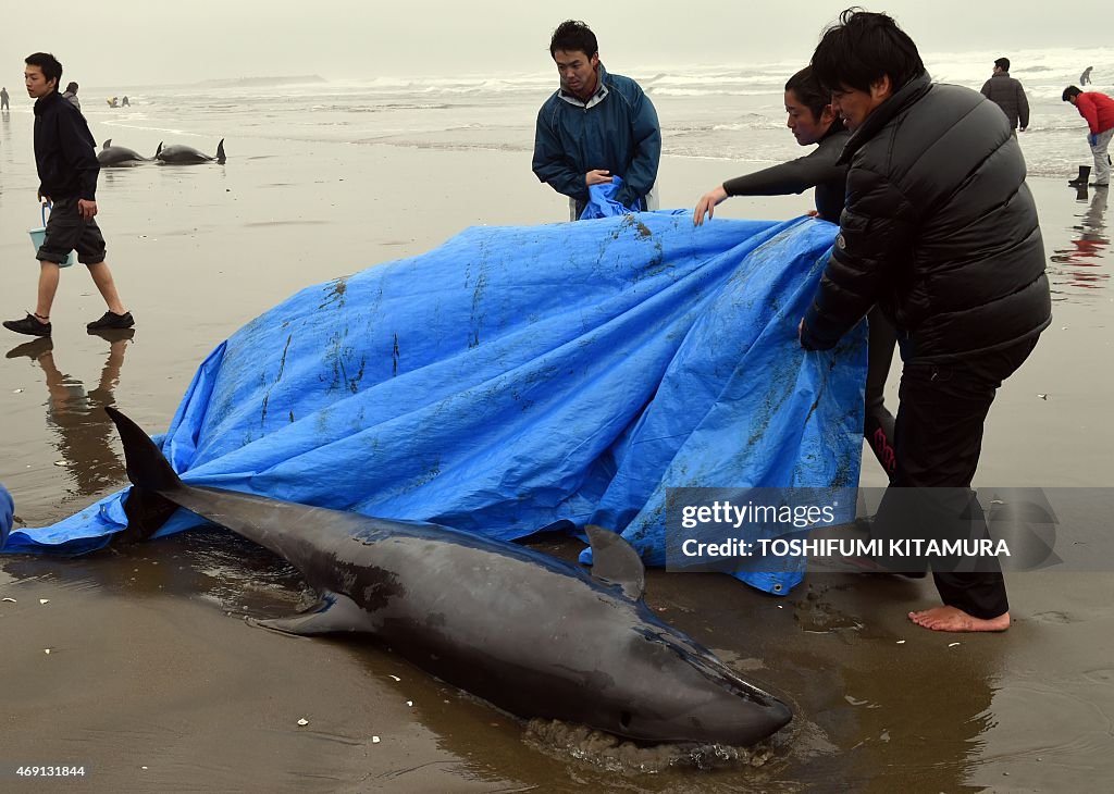 JAPAN-ANIMAL-WHALE