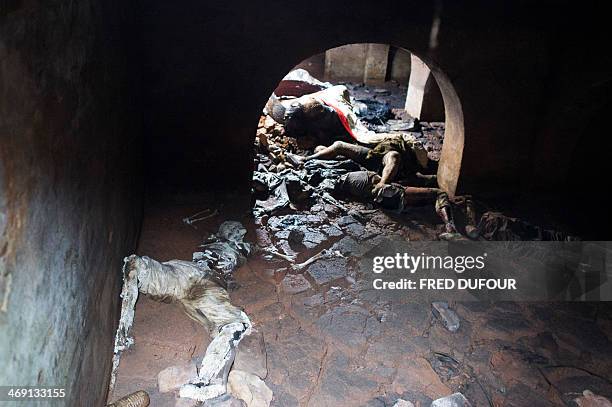 Dead bodies lay in a petrol tank in a former military camp used by ex seleka rebels, in Bangui, on February 13, 2014. The head of the UN's refugee...