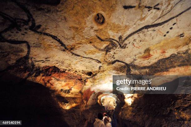 Picture of the "Great hall of the bulls" taken during a visit of the Lascaux Cave on July 25, 2008 near the village of Montignac, south Western...