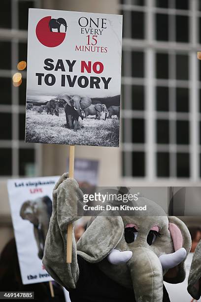Campaigners seeking to bring an end to the illegal trade in wildlife gather outside Lancaster House on February 13, 2014 in London, England. Prince...