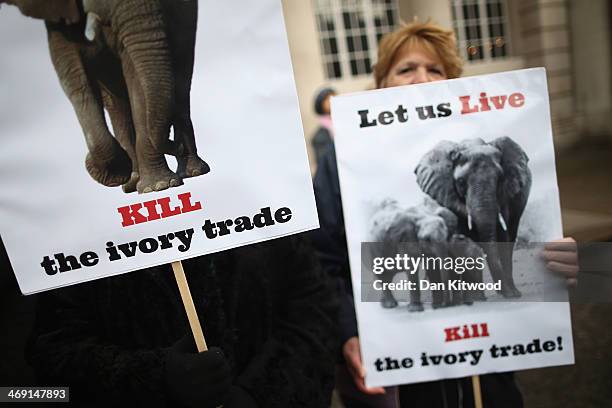 Campaigners seeking to bring an end to the illegal trade in wildlife gather outside Lancaster House on February 13, 2014 in London, England. Prince...