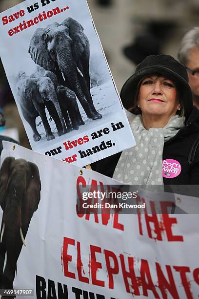 Campaigners seeking to bring an end to the illegal trade in wildlife gather outside Lancaster House on February 13, 2014 in London, England. Prince...