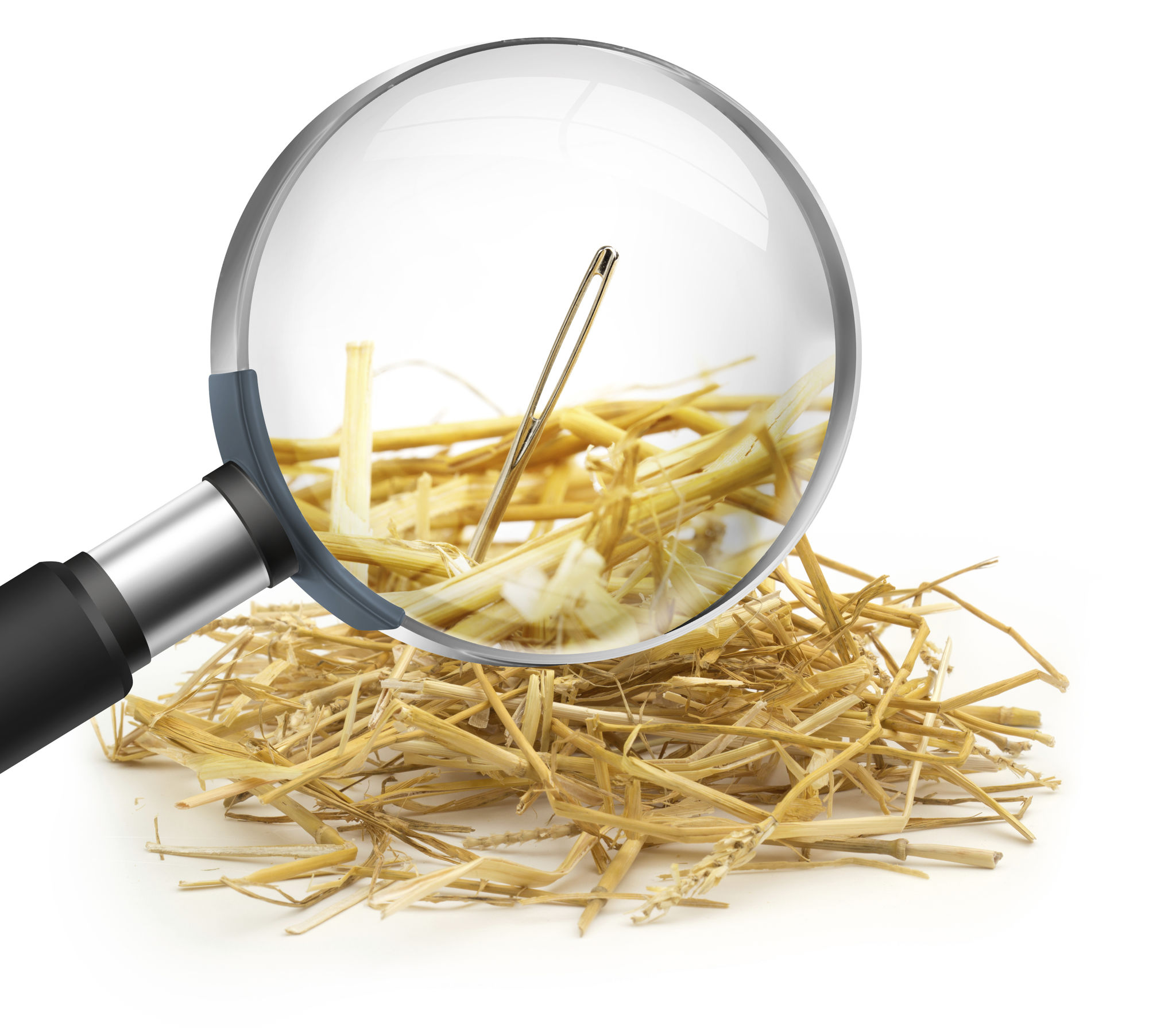 A magnifying glass hovers over a haystack, focusing on a tiny needle hidden within, symbolising the challenge of finding specific information in a vast and disorganised digital landscape. A magnifying glass hovers over a haystack, focusing on a tiny needle hidden within, symbolising the challenge of finding specific information in a vast and disorganised digital landscape.