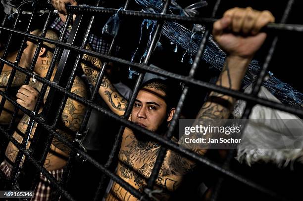 Members of the 18th Street gang stand behind bars in a cell at a detention center on February 20, 2014 in San Salvador, El Salvador. Although the...