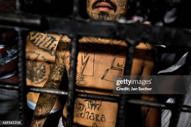 Member of the Mara Salvatrucha gang stands behind bars in a cell at a detention center on February 20, 2014 in San Salvador, El Salvador. Although...