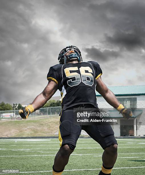 professional football player shouting after scoring touchdown - american football professional player not soccer stock pictures, royalty-free photos & images