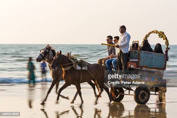 horse cart rides on beach, mangalore, karnataka - mangalore stockfoto's en -beelden