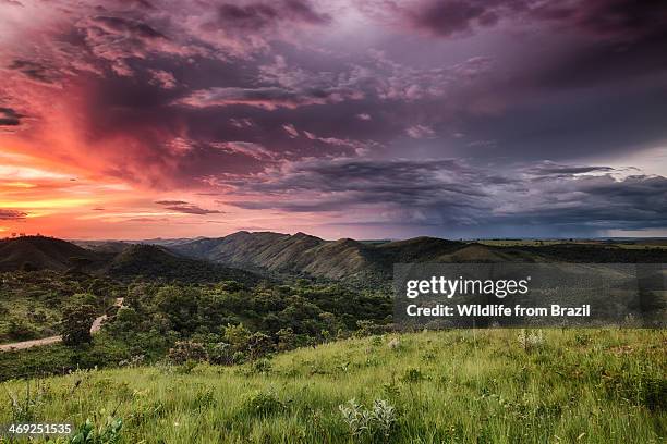 sunset bocaina hills (pôr-do-sol serra da bocaina) - pôr do sol 個照片及圖片檔