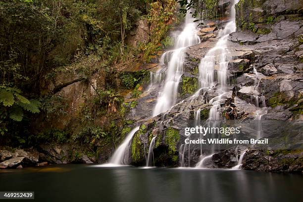 chinela waterfalls (cachoeira da chinela) 2 - são roque de minas - fotografias e filmes do acervo