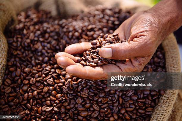 coffee beans freshly roasted, aromatic and healthy - coffee agriculture stock pictures, royalty-free photos & images