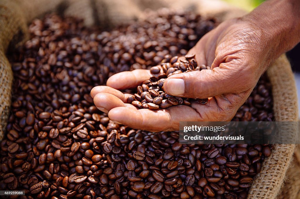 Grãos de café torrados frescos, aromático e saudável