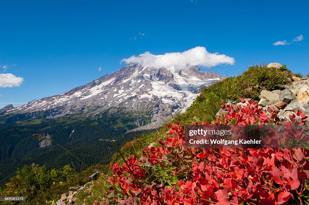 View of Mount Rainier from Pinnacle Peak trail with mountain...