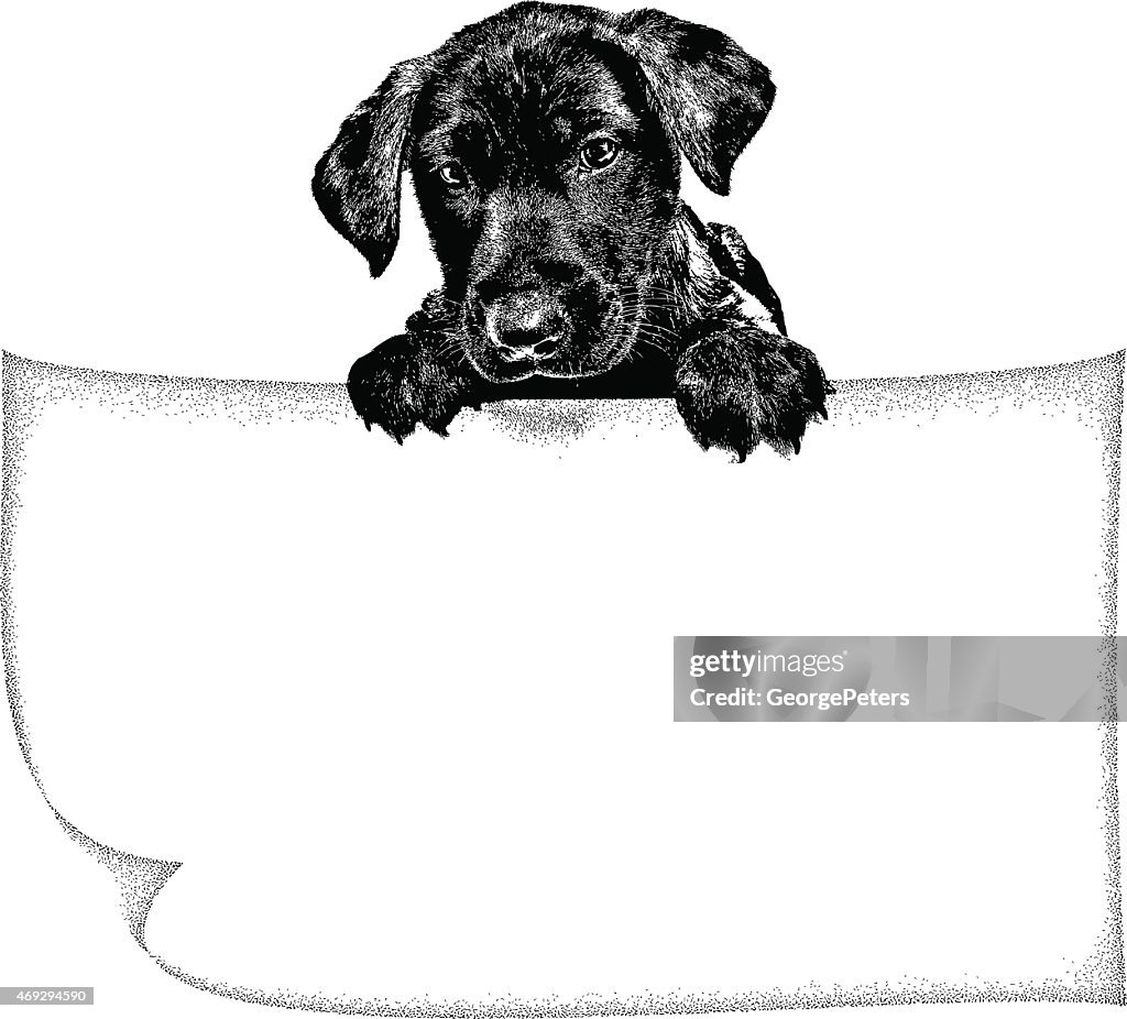 Puppy Holding Blank Sign
