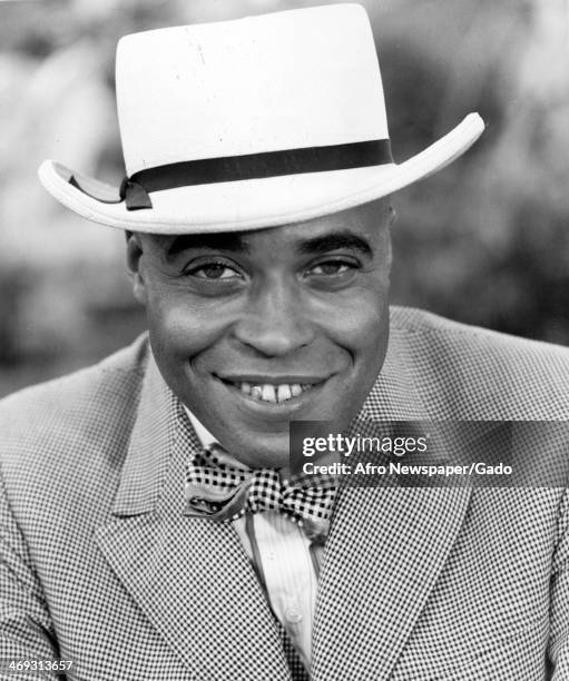 Head and shoulders portrait of the actor James Earl Jones, 1975.