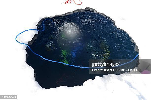 An ice diving instructor surfaces from the frozen Lake of Tignes 100 meters high, in the French Alps, on February 11, 2014. Ice diving is now...