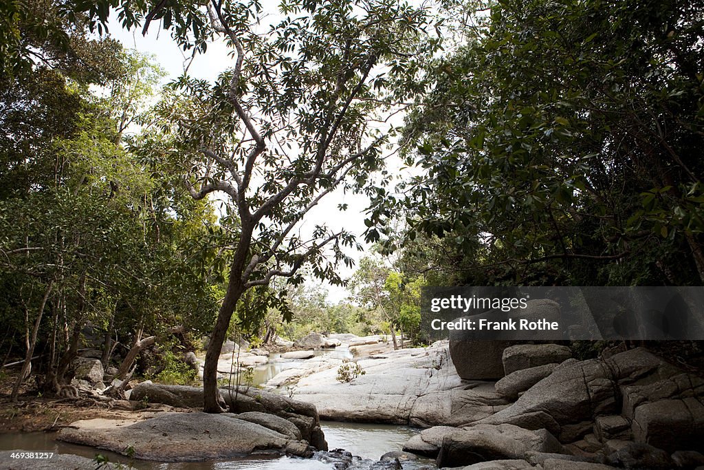 View throughout a nice small river