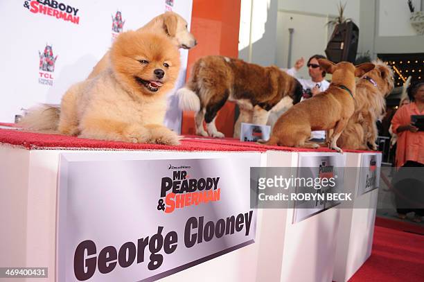 Dog named George Clooney poses for his close-up at the installation pawprint ceremony for canine animated movie character Mr. Peabody, at TCL Chinese...
