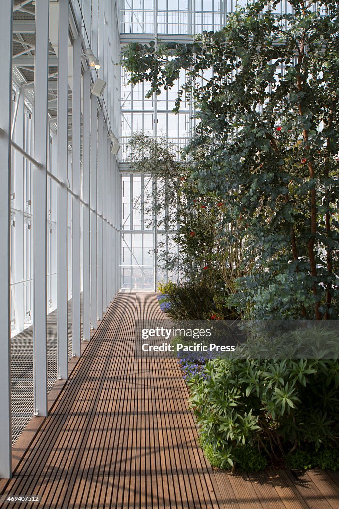 View of the greenhouse at the top of Intesa Sanpaolo...