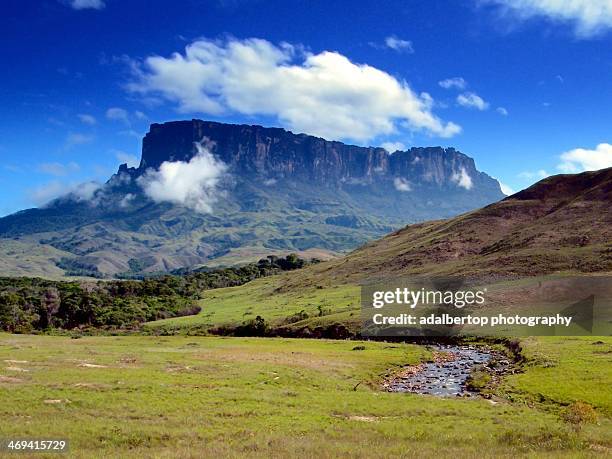 mount kukenan and tek river, venezuela - adalbertop ストックフォトと画像