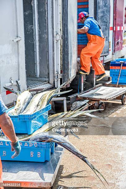 peruvian man putting fresh fish in refrigerated fish lorry - refrigerator truck stock pictures, royalty-free photos & images