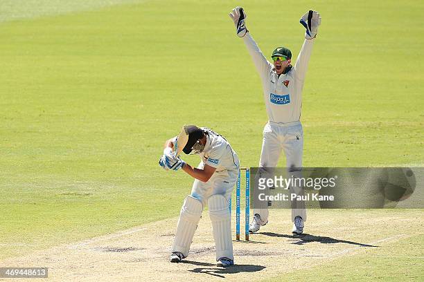 Tim Paine of the Tigers unsuccessfully appeals for the wicket of Marcus North of the Warriors during day four of the Sheffield Shield match between...