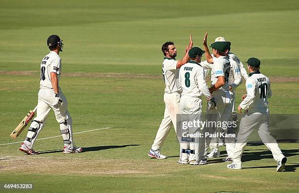 Ben Hilfenhaus of the Tigers celebrates after dismissing Mitchell Marsh of the Warriors during day four of the Sheffield Shield match between the...