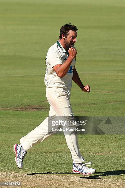 Ben Hilfenhaus of the Tigers celebrates dismissing Mitchell Marsh of the Warriors during day four of the Sheffield Shield match between the Western...