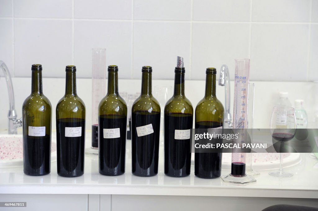 FRANCE-AGRICULTURE-WINE-TECHNOLOGY-SCIENCE