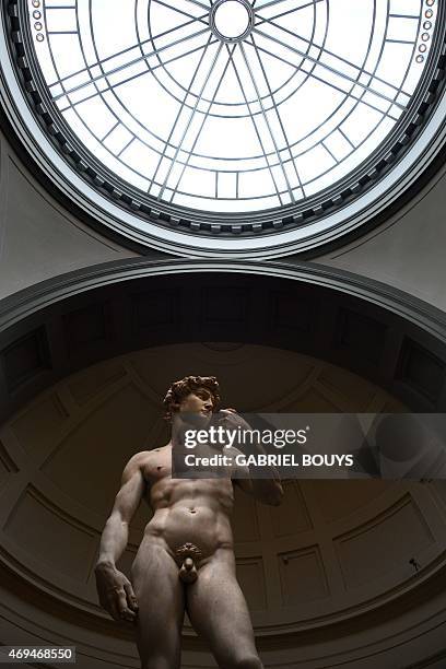 The original 16th century statue of David by Italian artist Michelangelo Buonarroti stands in the Galleria dell'Accademia museum on April 9, 2015 in...