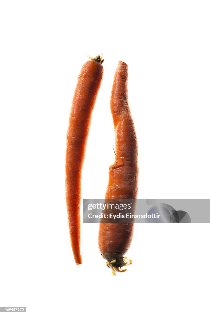 Carrots on white backlit bacground