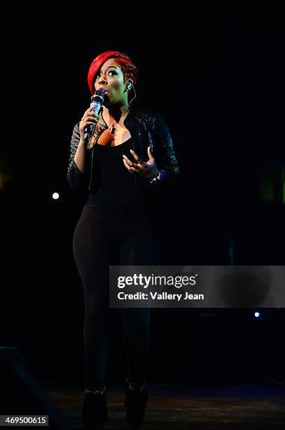 Michelle performs during valentines day at Bank United Center on February 14, 2014 in Miami, Florida.