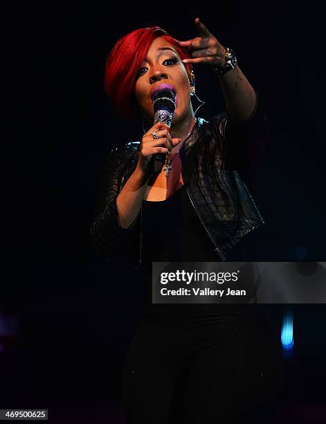 Michelle performs during valentines day at Bank United Center on February 14, 2014 in Miami, Florida.