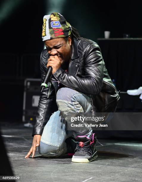 Wale performs during valentines day at Bank United Center on February 14, 2014 in Miami, Florida.