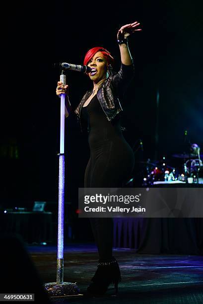 Michelle performs during valentines day at Bank United Center on February 14, 2014 in Miami, Florida.