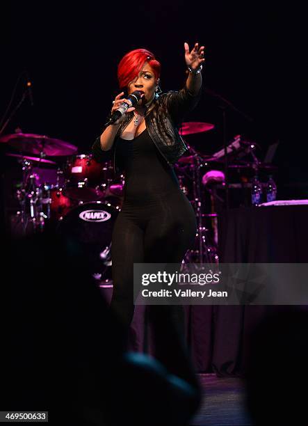 Michelle performs during valentines day at Bank United Center on February 14, 2014 in Miami, Florida.