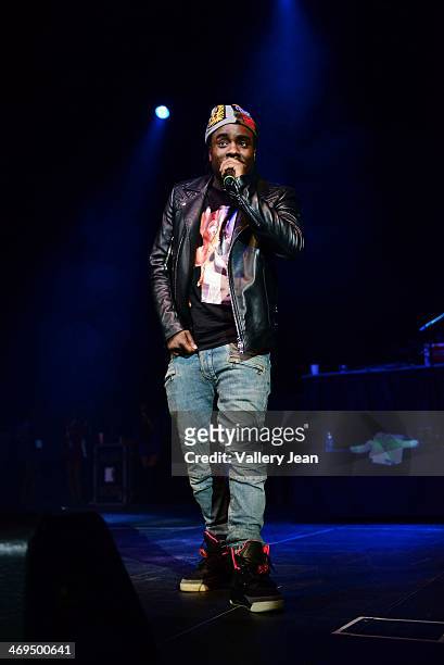 Wale performs during valentines day at Bank United Center on February 14, 2014 in Miami, Florida.