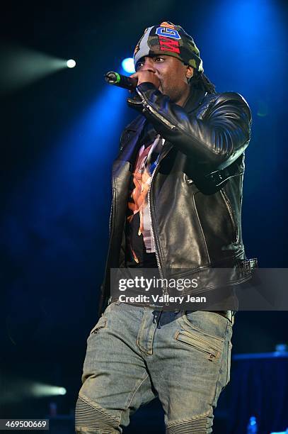 Wale performs during valentines day at Bank United Center on February 14, 2014 in Miami, Florida.