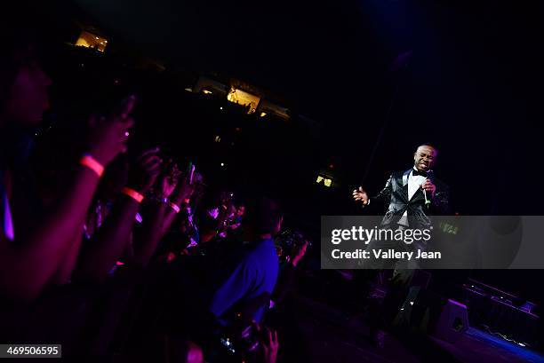 Pleasure P performs during valentines day at Bank United Center on February 14, 2014 in Miami, Florida.