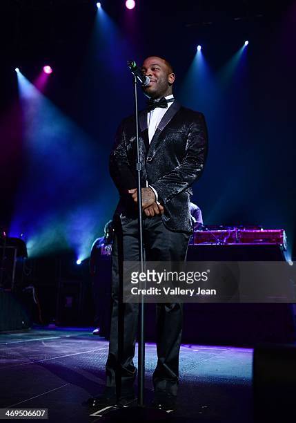 Pleasure P performs during valentines day at Bank United Center on February 14, 2014 in Miami, Florida.
