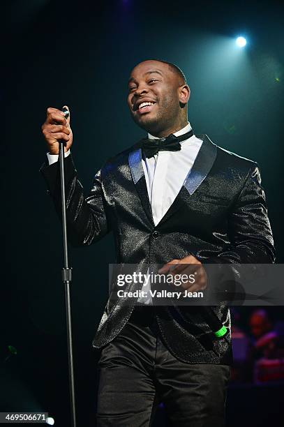 Pleasure P performs during valentines day at Bank United Center on February 14, 2014 in Miami, Florida.